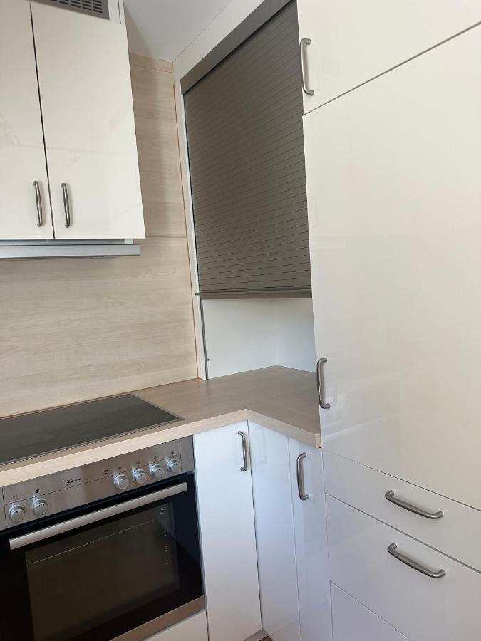 Rosaklein-30m2 & Rubinagross-100m2 Apartment Bludenz